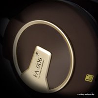 Наушники Fischer Audio FA-006