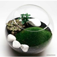 Флорариум Home Garden Шар