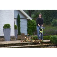 Колесная воздуходувка Ryobi RBV36B [5133002524]