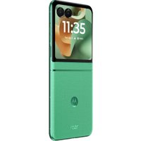 Телефон Motorola Razr 60 8GB/256GB (весенний бутон)
