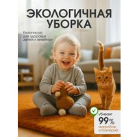 Пароочиститель RAF R.1287