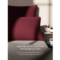 Спальная подушка Espera Home Comfort Wine 3D ЕС-5841 40x60