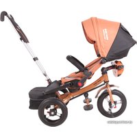 Детский велосипед Baby Trike Premium new (бронзовый)