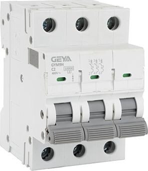 

Выключатель автоматический GEYA GYM9H-3P-2C 3P 2A C 10kA 3M GYM9H3P2C