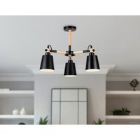 Люстра средней высоты Ambrella light TR82206/3 BK/LWD