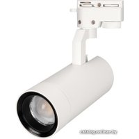 Трековый светильник Arlight LGD-GELIOS-2TR-R80-30W Day4000 031240