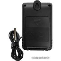 Внешний датчик Garin WS-2 Sensor