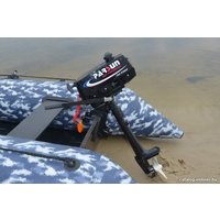 Лодочный мотор Parsun T2.6 BMS