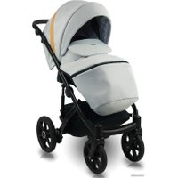 Универсальная коляска Bexa Ideal 2020 (2 в 1, 05)