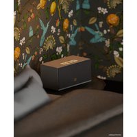 Беспроводная аудиосистема Audio Pro Addon C10 MkII (серый)