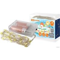 Светодиодная гирлянда TDM Electric SQ0361-0053