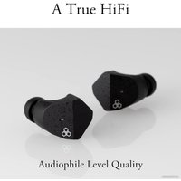 Наушники Final Audio Design ZE3000 (черный)