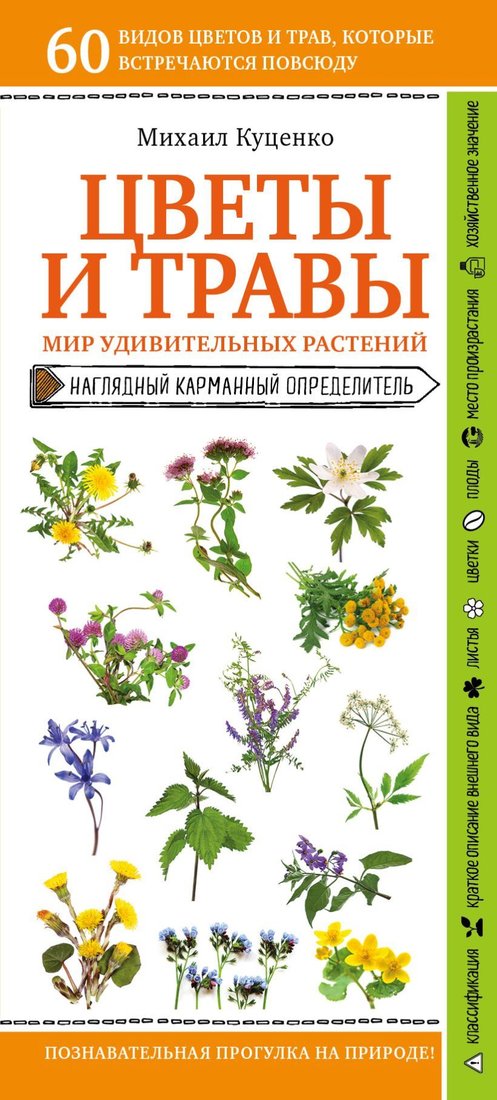 

Книга издательства Эксмо. Цветы и травы. Мир удивительных растений (Куценко Михаил Евгеньевич)