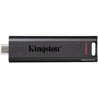 USB Flash Kingston DataTraveler Max Type-C 256GB