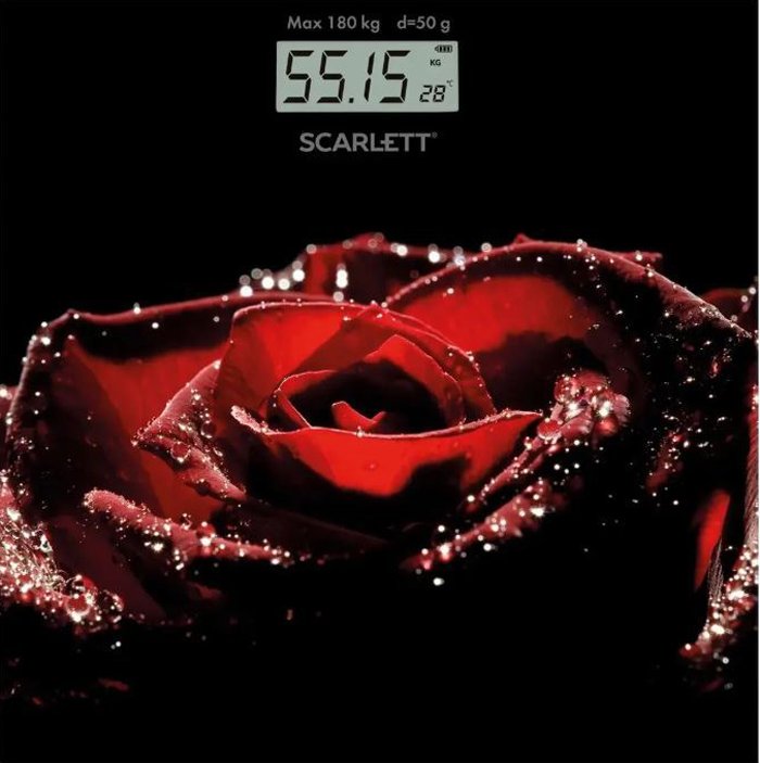 

Напольные весы Scarlett SC-BS33E028
