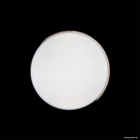 Светильник-тарелка LOFT IT Axel 10004/36 (белый)