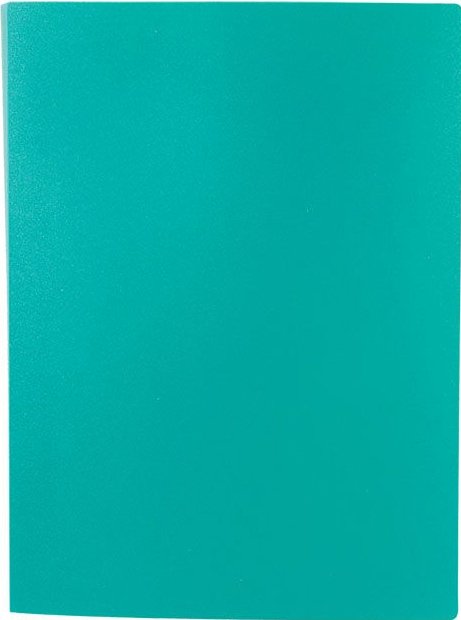 

Папка для бумаг Lite NP0151-30ВG с файлами
