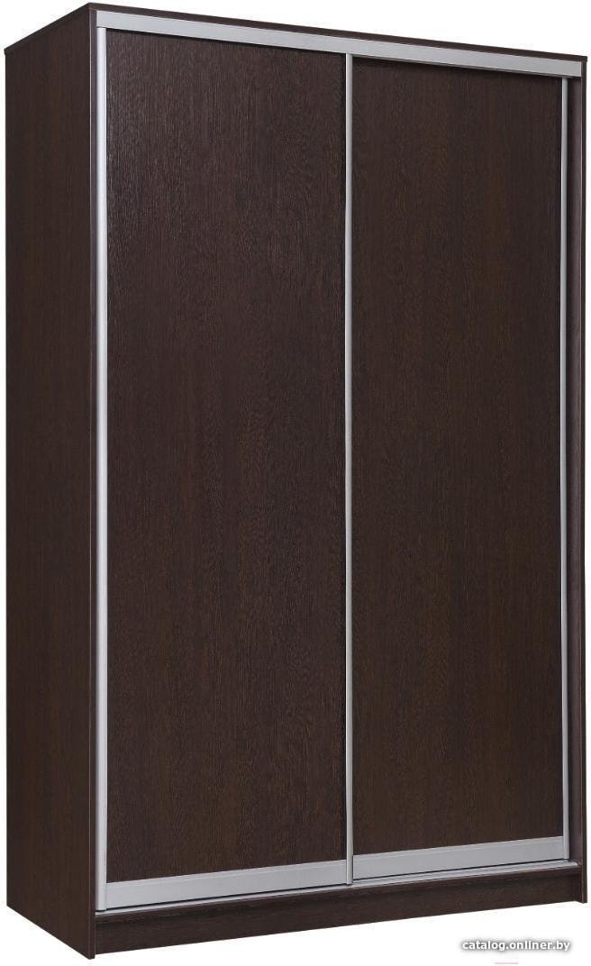 

Шкаф-купе Рэйгрупп 158450 VVX Elgon РГ-04.03 (венге/хром)