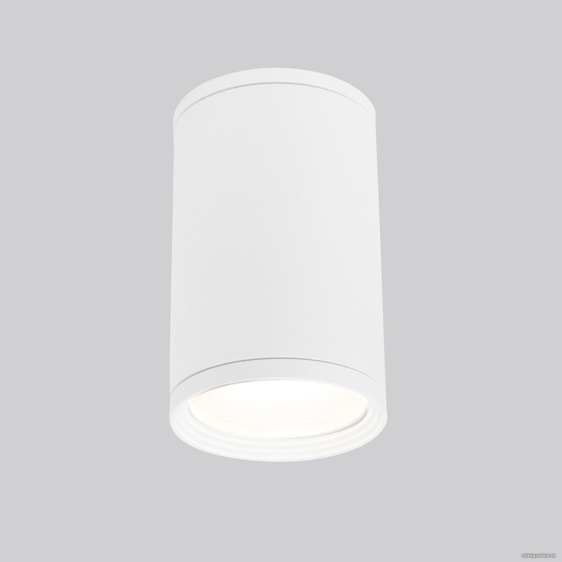 Уличный накладной светильник Elektrostandard Light 2101 35128/H (белый)
