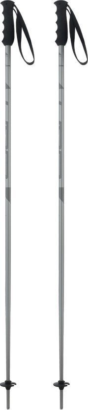 Лыжные палки Elan Speedrod 2024-2025 CD531524-125 (р.125, серый)