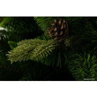 Сосна GreenTerra Рапсодия зеленая 2.2 м