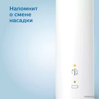 Электрическая зубная щетка Philips 3100 series HX3673/13