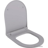 Сиденье для унитаза Ambassador Nord 132T20301S (серый матовый)