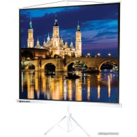 Проекционный экран BRAUBERG Tripod 1:1 (200x200) 236731