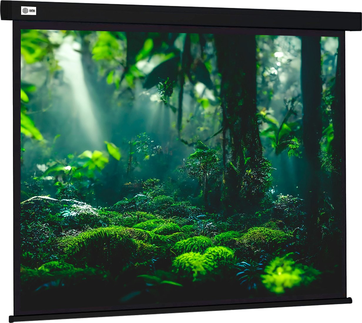 

Проекционный экран CACTUS Wallscreen 213x213 CS-PSW-213X213-BK