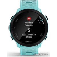 Умные часы Garmin Forerunner 55 (бирюзовый)