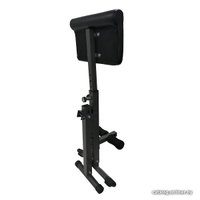 Гиперэкстензия DFC Homegym SJ1006 (черный)