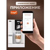 Кофемашина Taya Machine R5 TAYA-R5D