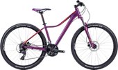 Cube Access WLS Disc 27.5 (2015)