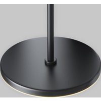 Подвесная люстра Maytoni Technical Plato P076PL-L12W3K-B