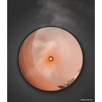 Увлажнитель воздуха Stadler Form Zoe (черный)