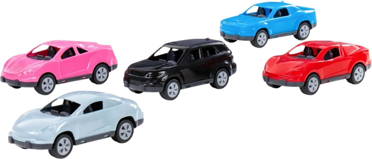 

Набор Полесье Оптима 58922 (5 шт)