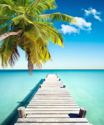 Фотообои Белобои TR-0128 (250x208)