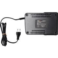 Зарядное устройство Dedra DED7039 (20В)