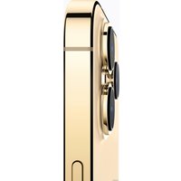 Телефон Apple iPhone 13 Pro 256GB Восстановленный by Breezy, грейд B (золотистый)