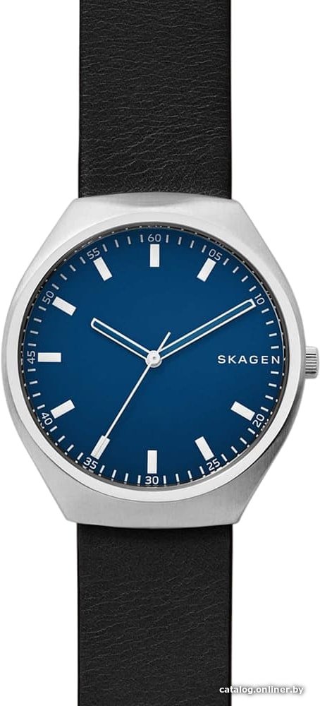Наручные часы Skagen SKW6385