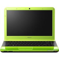 Ноутбук Sony VAIO VPC-EA3S1R/G