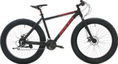 Manhattan fat-bike 2019