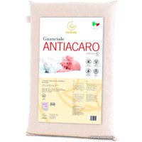 Спальная подушка Italbaby Antiacaro 38х55 (белый)