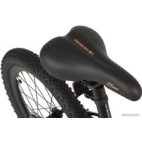 Детский велосипед Maxiscoo 5Bike 20 M 2024 (черный матовый)