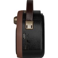 Радиоприемник Ritmix RPR-040 (шоколадный)