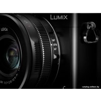 Фотоаппарат Panasonic Lumix DMC-LX100 (черный)