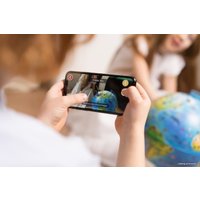 Школьный глобус Globen Зоогеографический с подсветкой INT12100296