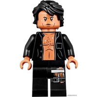 Конструктор LEGO Jurassic World 75936 Парк Юрского периода: ярость Ти-Рекса