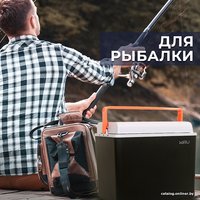 Термоэлектрический автохолодильник Miru MCW20E 20л (черный/серый)
