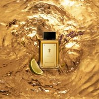 Парфюмерная вода Antonio Banderas The Secret Absolu EdP (100 мл)